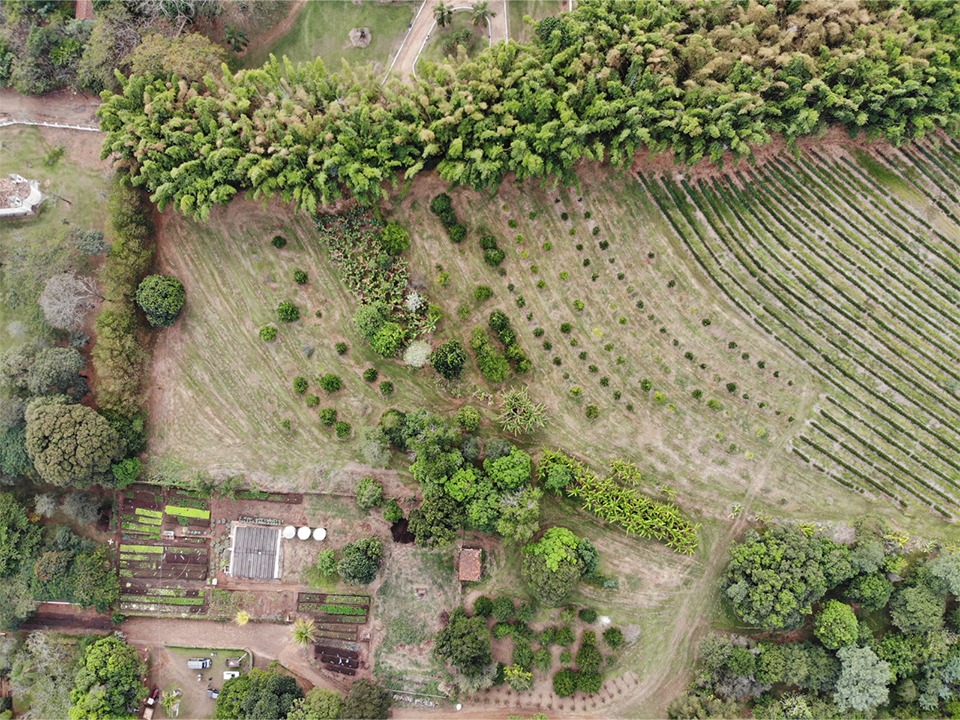 SISTEMA AGROFLORESTAL SINTRÓPICO - Fazenda Santa Rita
